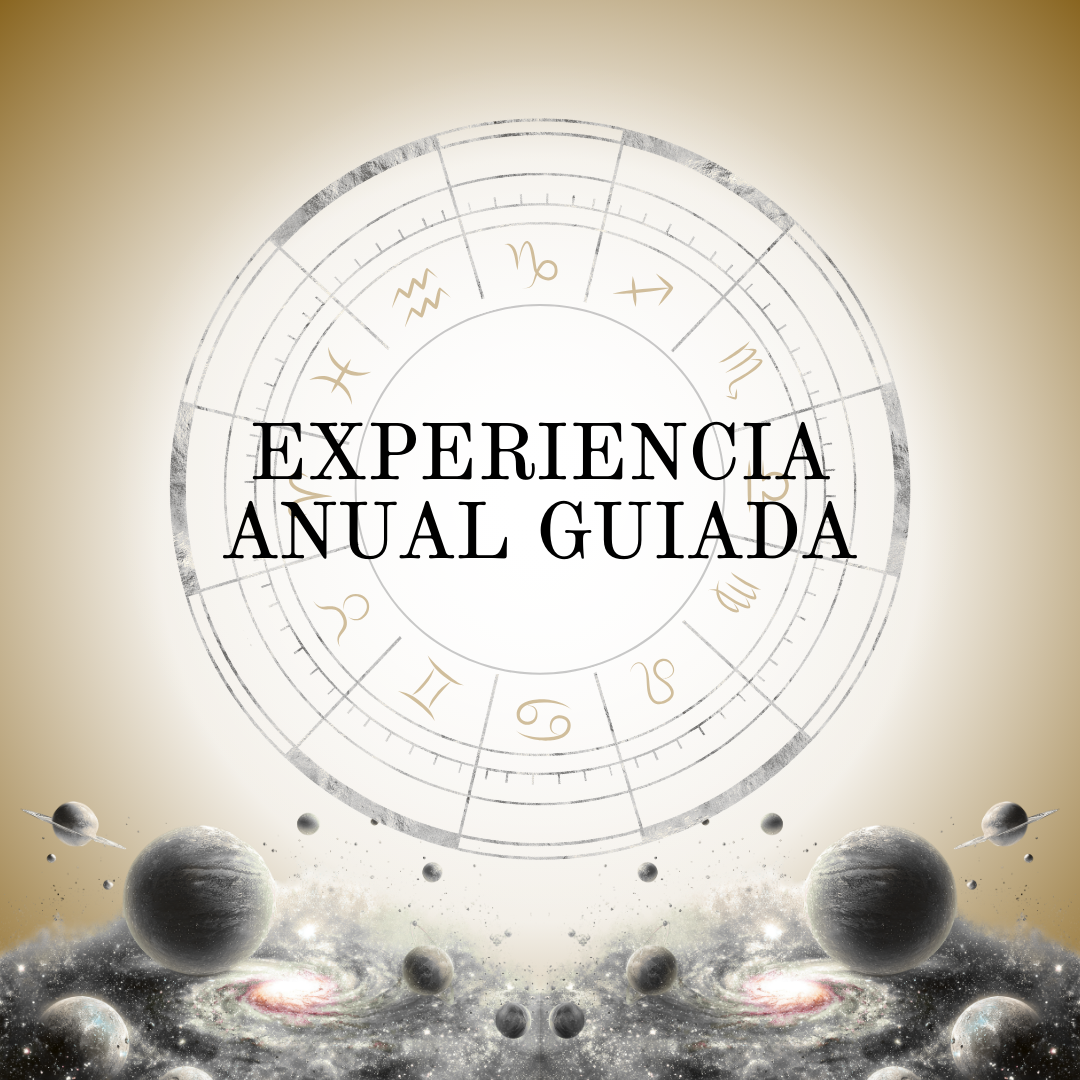 Experiencia Anual Guiada
