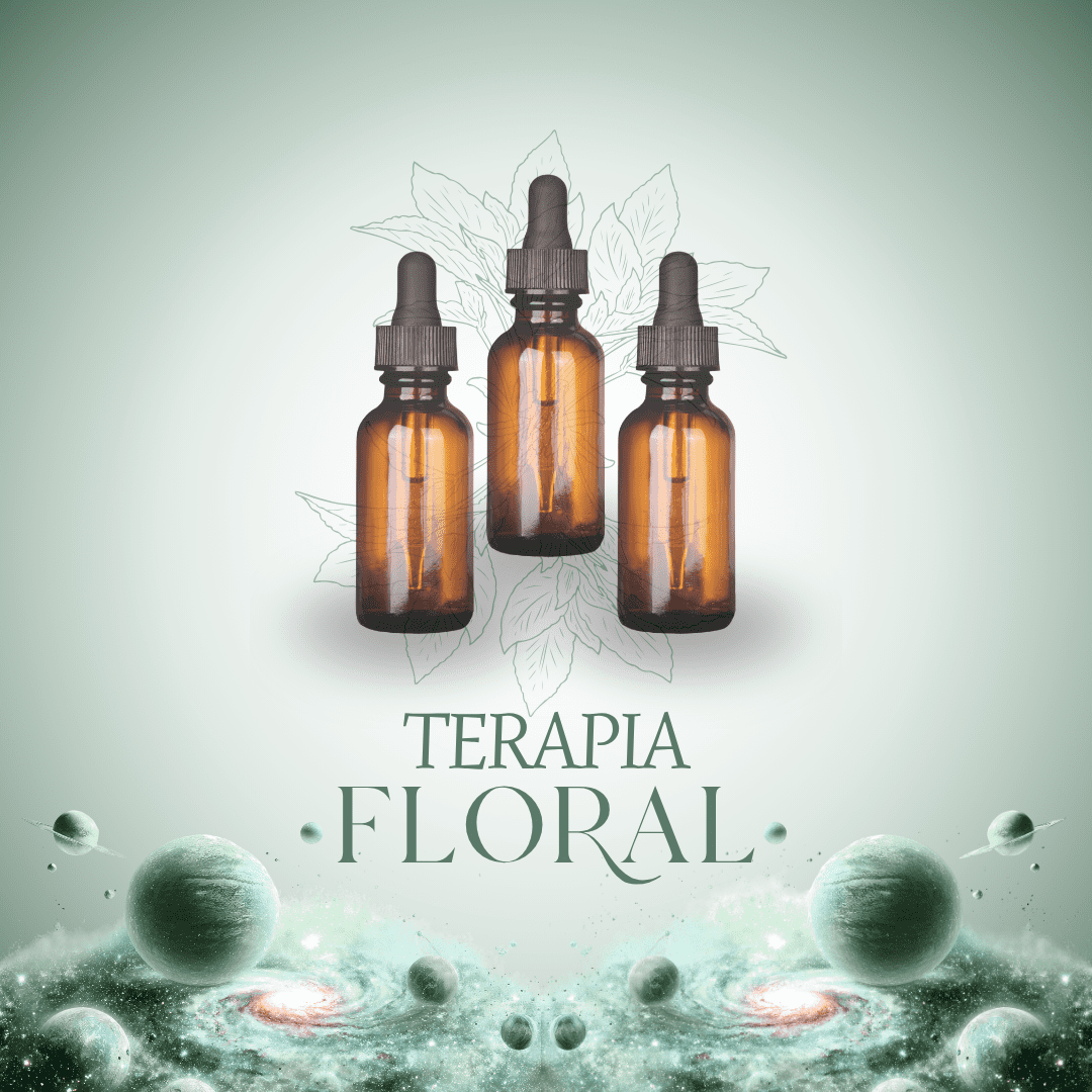Terapia Floral: Un proceso de acompañamiento emocional de 3 meses