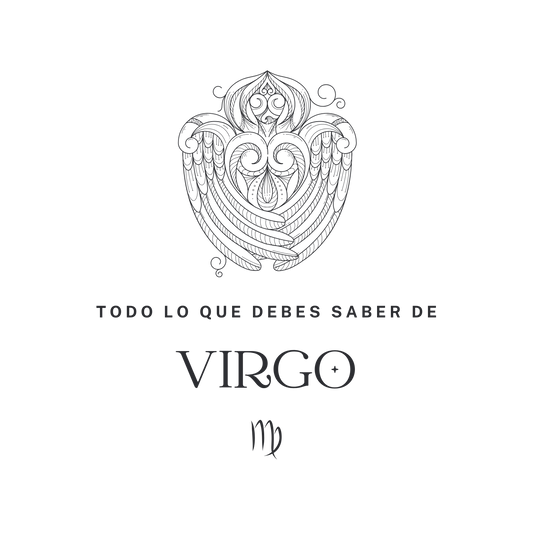 [eBook] Todo lo que debes saber de VIRGO