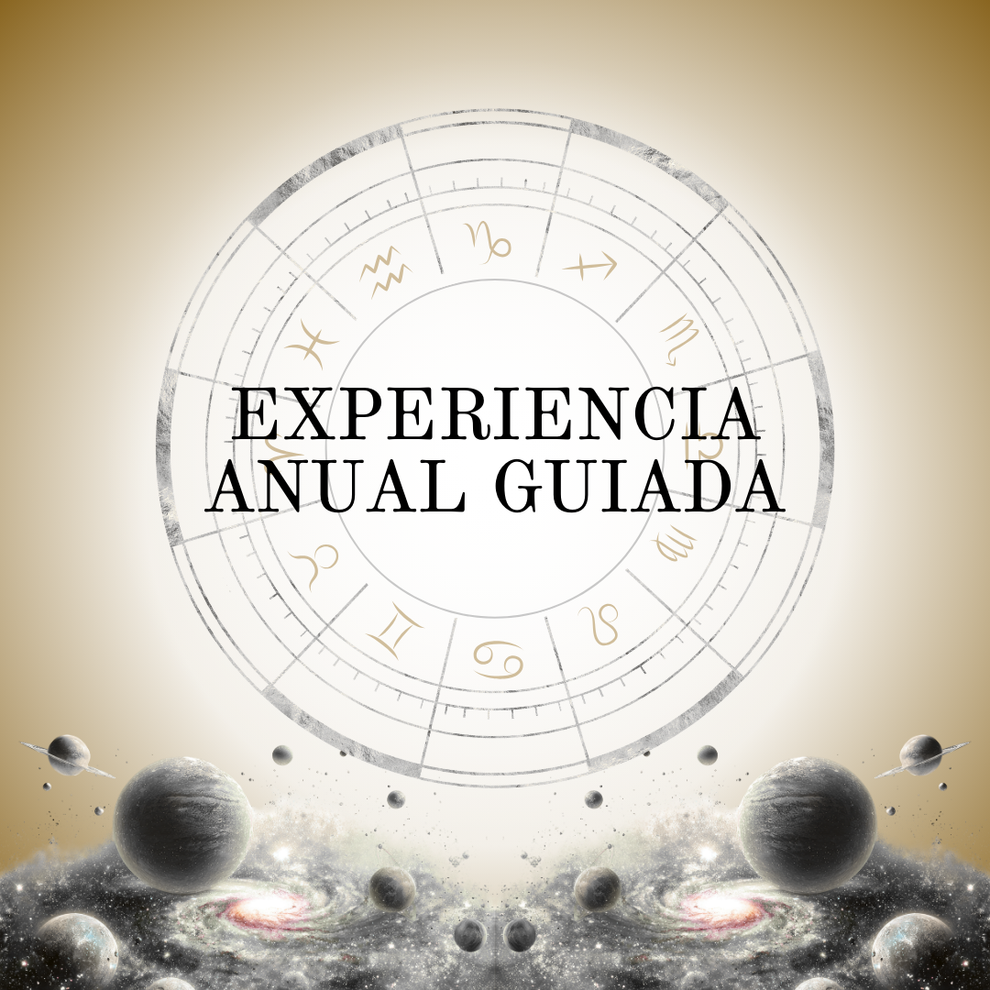 Experiencia Anual Guiada