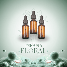 Terapia Floral: Un proceso de acompañamiento emocional de 3 meses