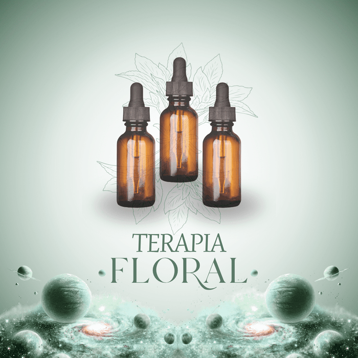 Terapia Floral: Un proceso de acompañamiento emocional de 3 meses
