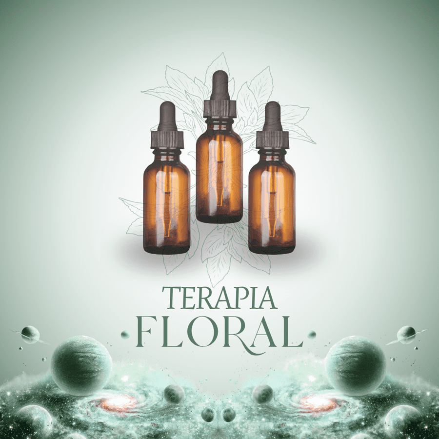 Terapia Floral: Un proceso de acompañamiento emocional de 3 meses